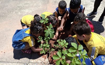 criancas-plantando-muda-de-arvore-atividade-educativa.jpg Grupo de crianças reunidas ao redor de uma muda de árvore, plantando e manuseando a terra juntas em uma atividade educativa ao ar livre.